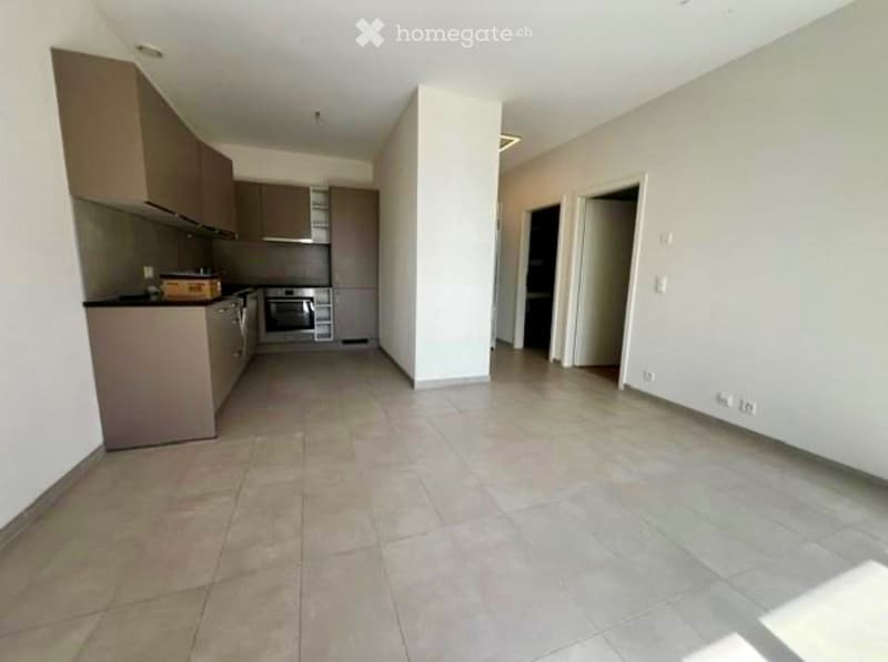 Bel appartement 2.5pcd Rez de chaussée avec grande terrasse (4)