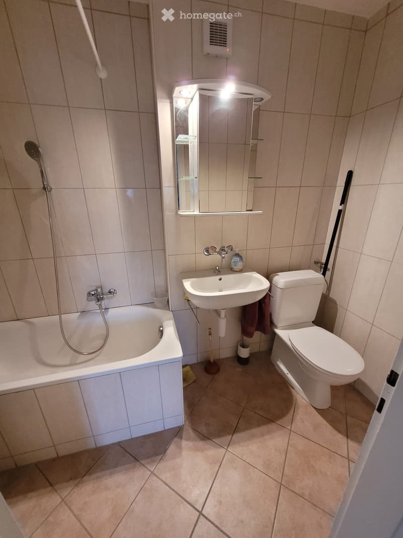 Coffrane, APPARTEMENT 3,5 pièces, lumineux (4)