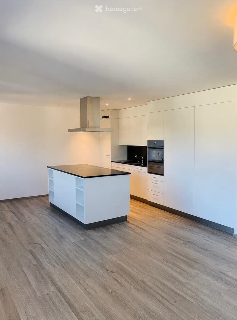 Moderne 3.5-Zimmer-Attikawohnung in Winterthur-Wülflingen (5)