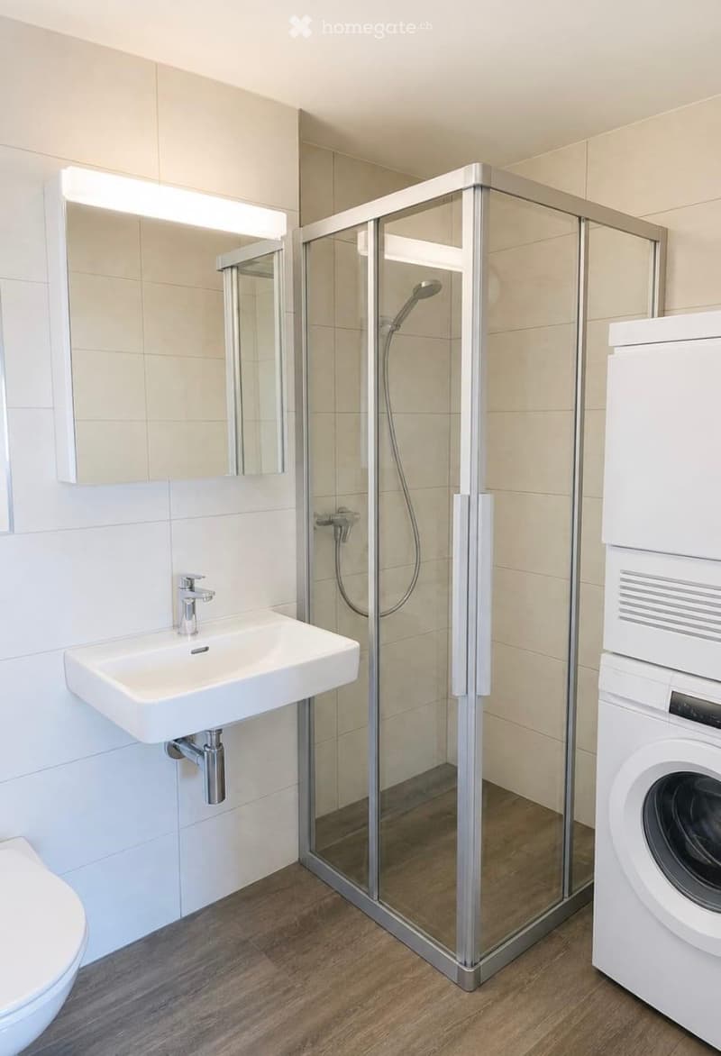 Moderne 3.5-Zimmer-Attikawohnung in Winterthur-Wülflingen (4)