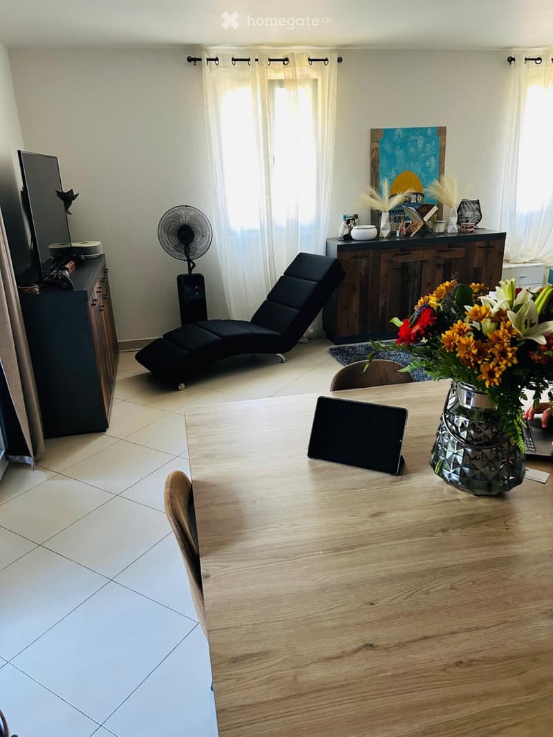 Appartement lumineux en rez de jardin (3)