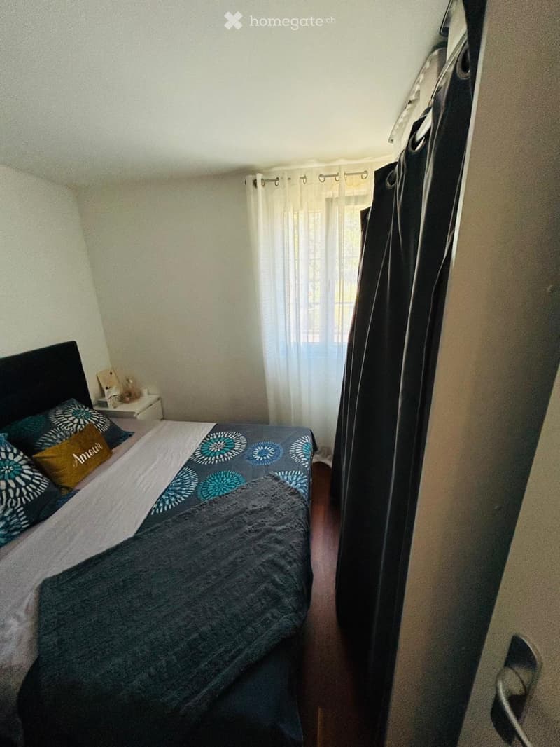 Appartement lumineux en rez de jardin (4)