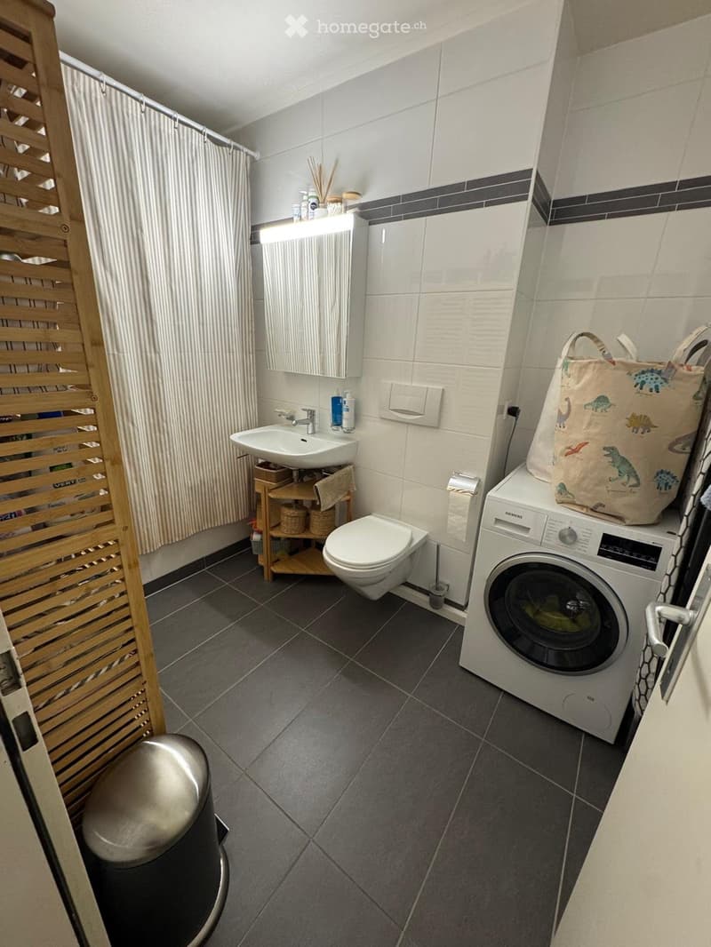 Appartement de 5 pièces à Genève - Quartier Frontenex (4)