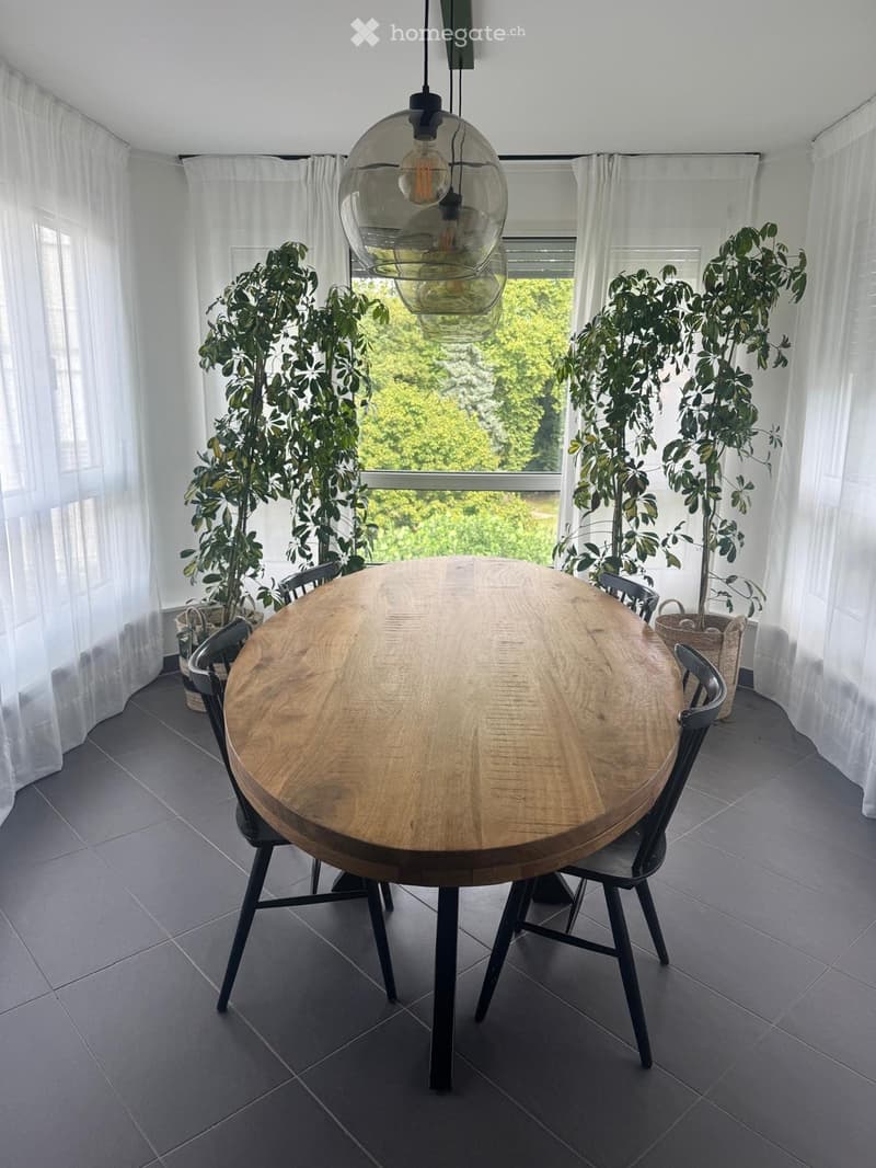 Appartement de 5 pièces à Genève - Quartier Frontenex (5)