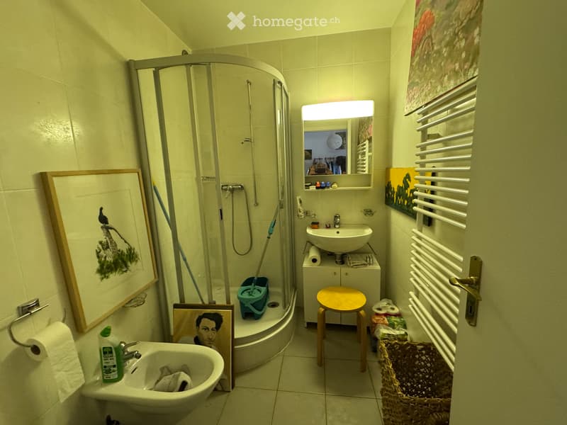 Bel appartement au rez-de-chaussée à Préverenges (5)