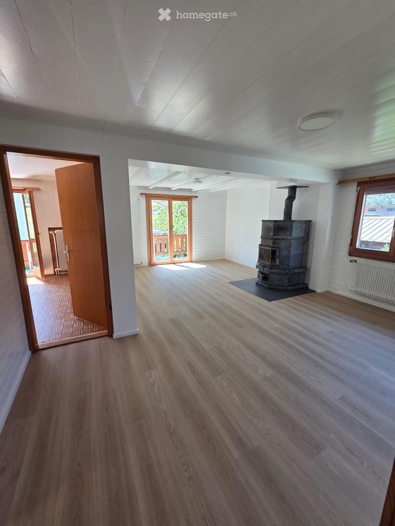 Einfamilienhaus - Erstvermietung nach kompletter Renovation (1)