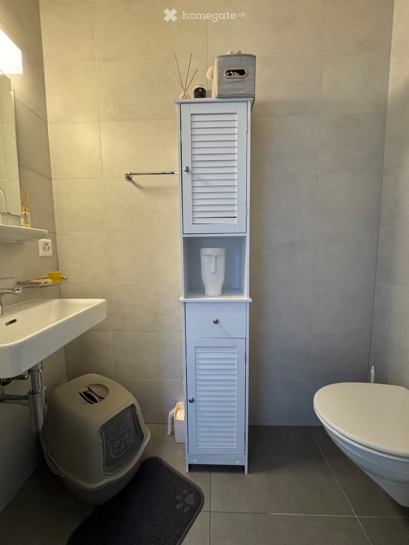 Reprise de bail : Appartement 3.5 pièces (4)