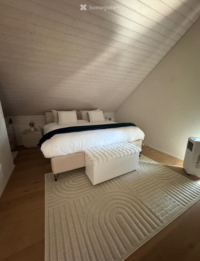 Reprise de bail : Appartement 3.5 pièces (2)