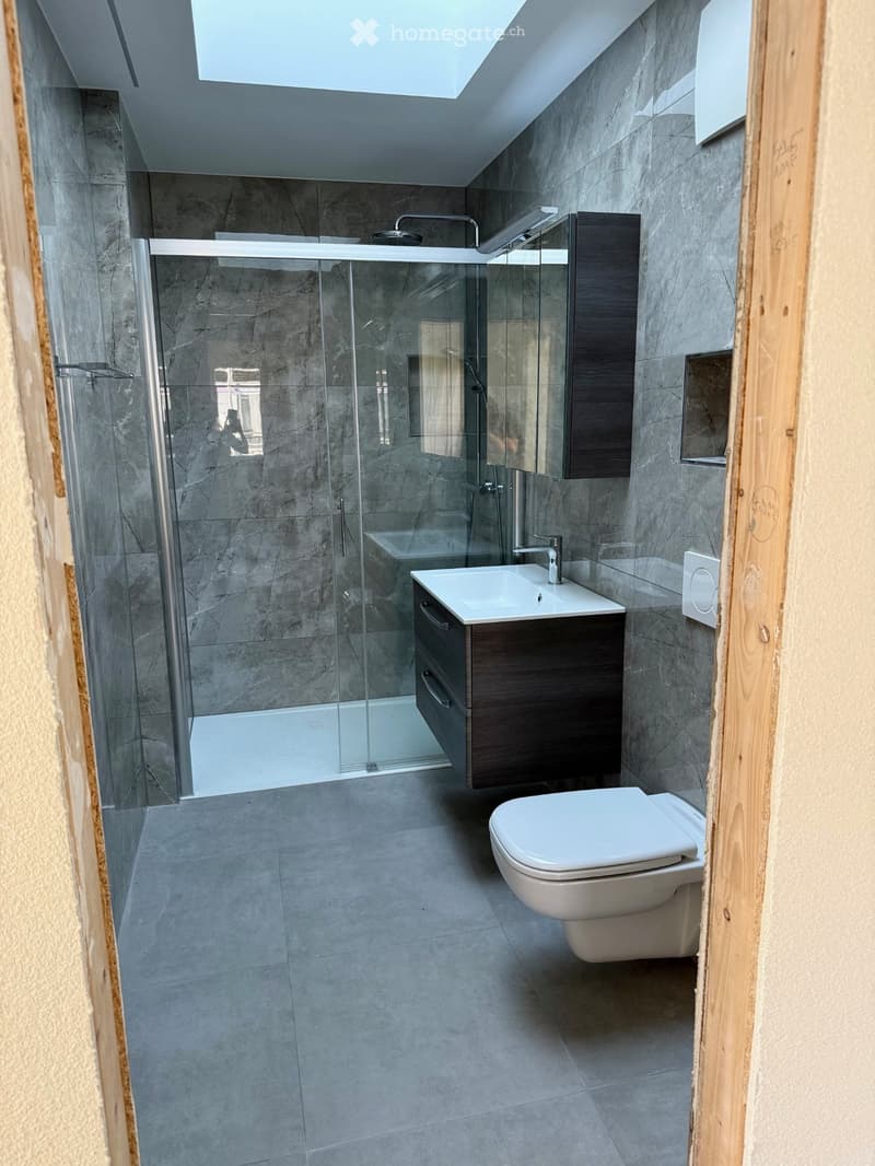 Magnifique appartement neuf, lumineux et fonctionnel (5)
