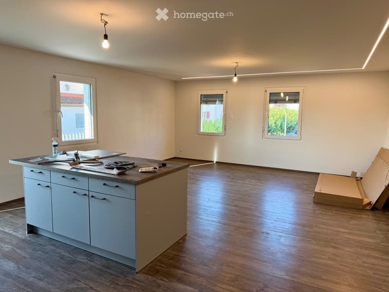 Magnifique appartement neuf, lumineux et fonctionnel (1)