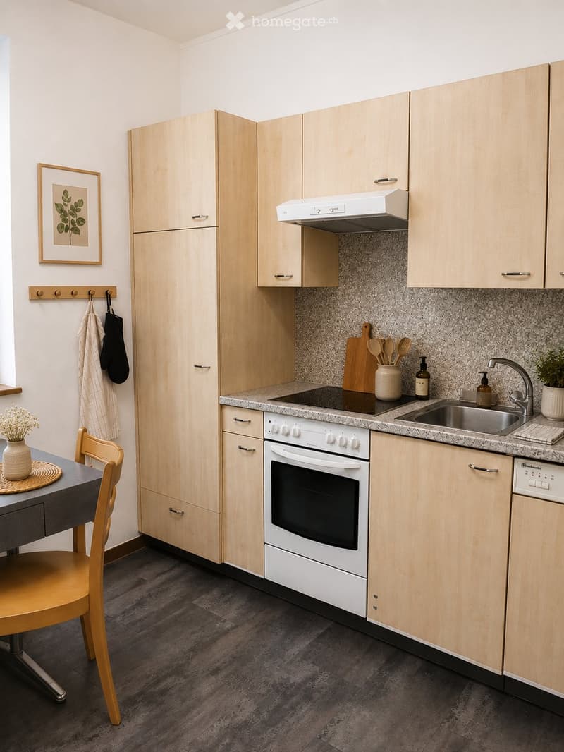 Appartement lumineux 3p a louer (4)