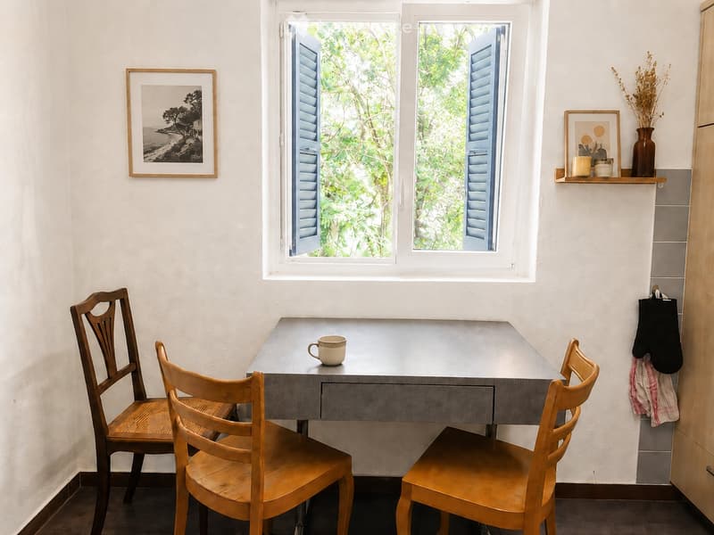 Appartement lumineux 3p a louer (3)
