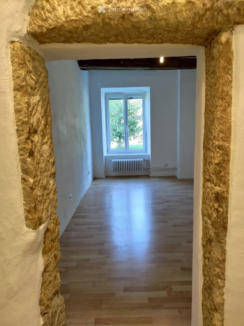 Vivre au château de Lully (FR) ! 2,5 pièces au rez (4)