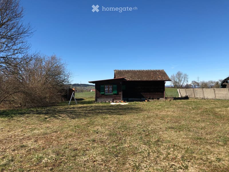Magnifique terrain avec cabane (2)