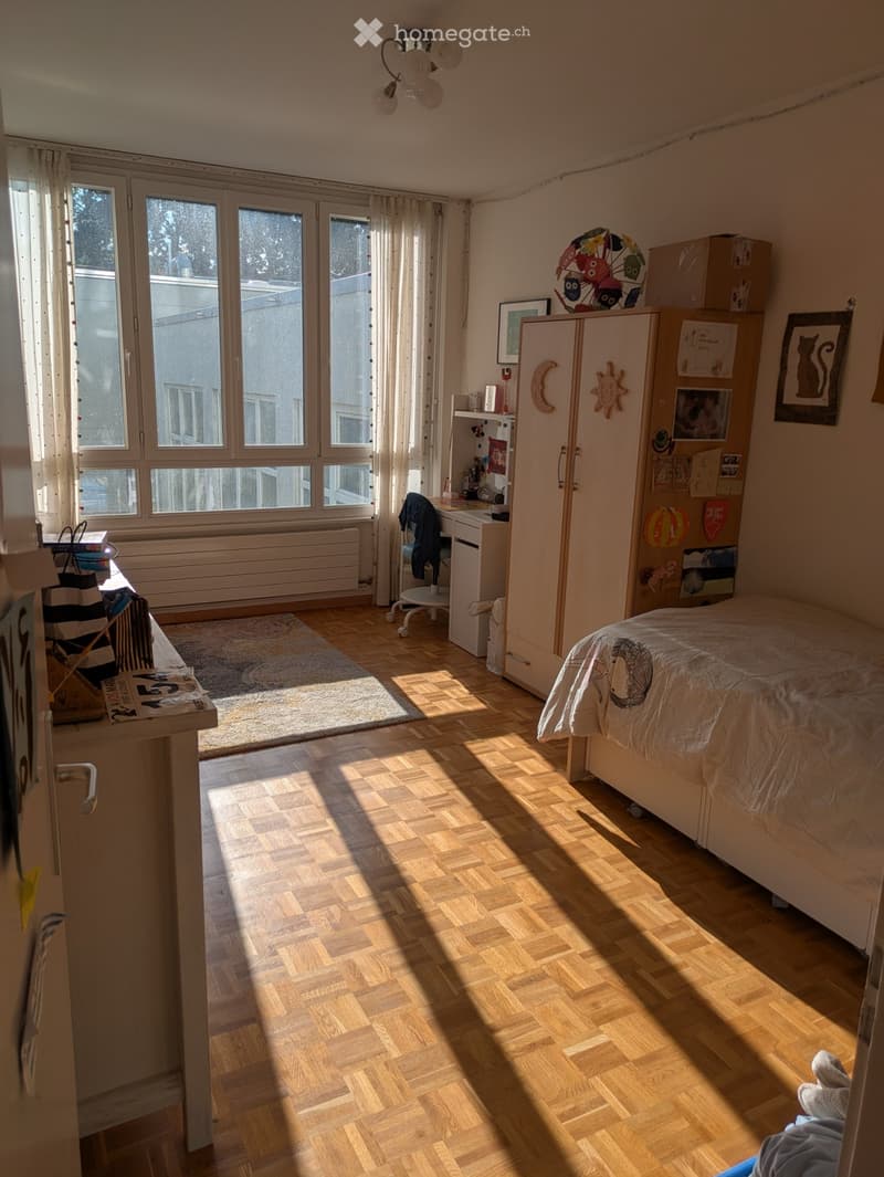 Appartement 4 pces lumineux (5)