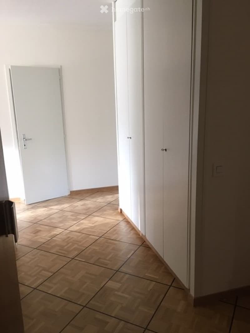 Grand 5,5 pièces secteur ONU (4)