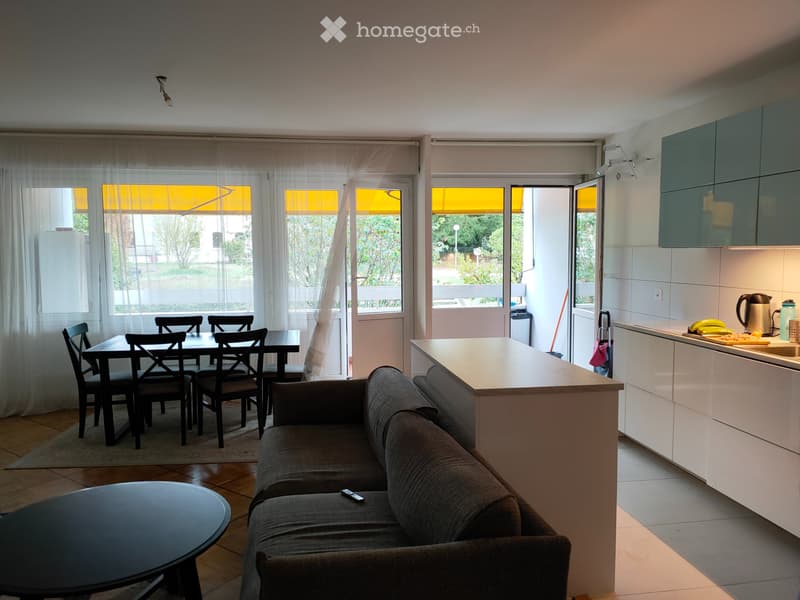 Grand 5,5 pièces secteur ONU (1)