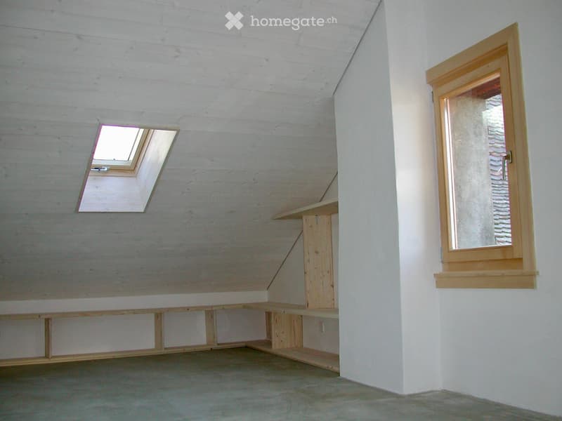 Duplex, Montreux Vieille ville, vue 360, lumineux, calme (4)