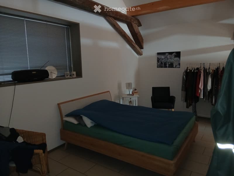 Moderne 2.5 Dachwohnung (3)