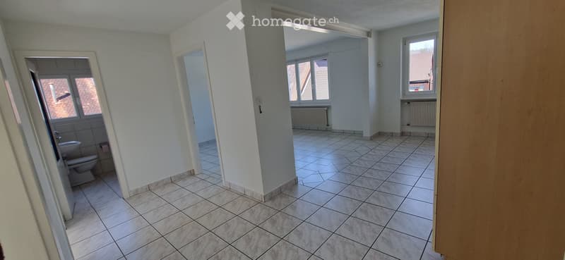 Superbe appartement 3.5 pièces lumineux calme et bien situé (3)