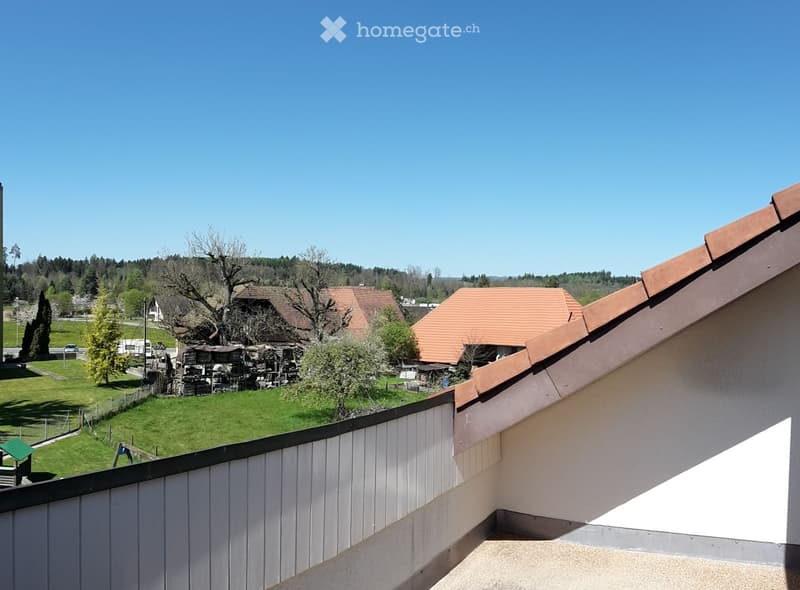 Nachmieter gesucht für eine 3.5 Zi.-Wohnung an Toplage (1)