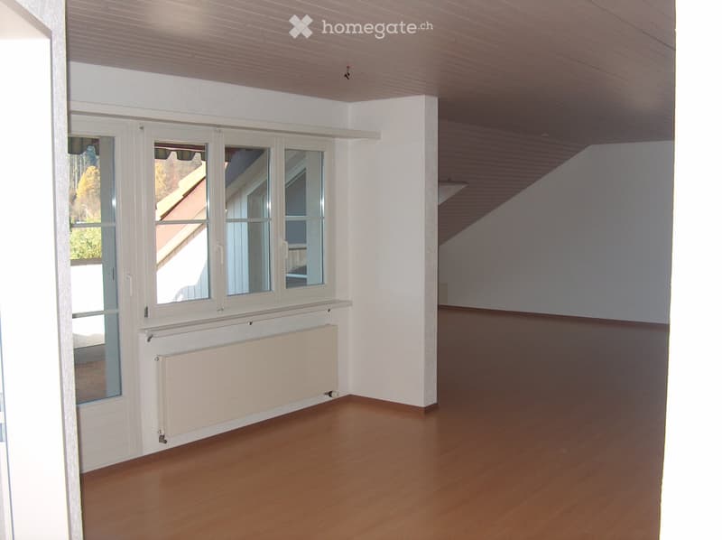 Nachmieter gesucht für eine 3.5 Zi.-Wohnung an Toplage (3)