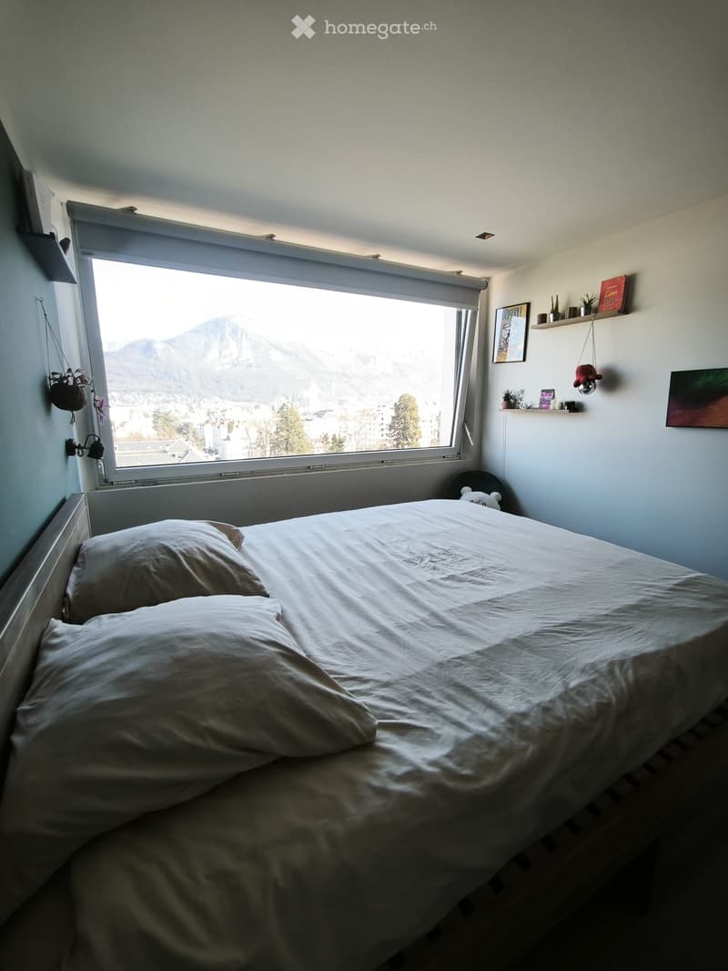 T2 Carré d'Or Annecy Appartement LUMINEUX VUE INCROYABLE (1)