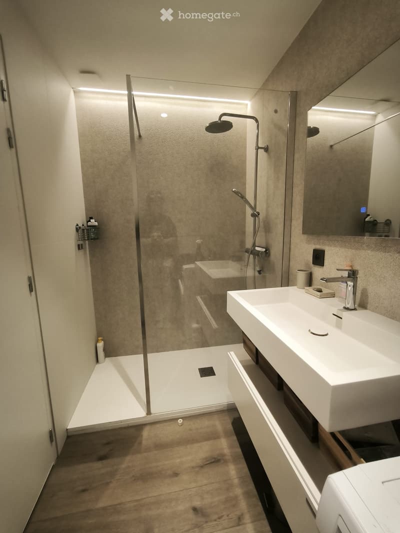 T2 Carré d'Or Annecy Appartement LUMINEUX VUE INCROYABLE (4)