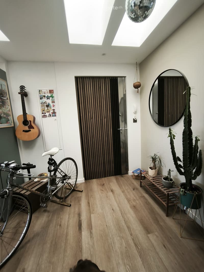 T2 Carré d'Or Annecy Appartement LUMINEUX VUE INCROYABLE (5)