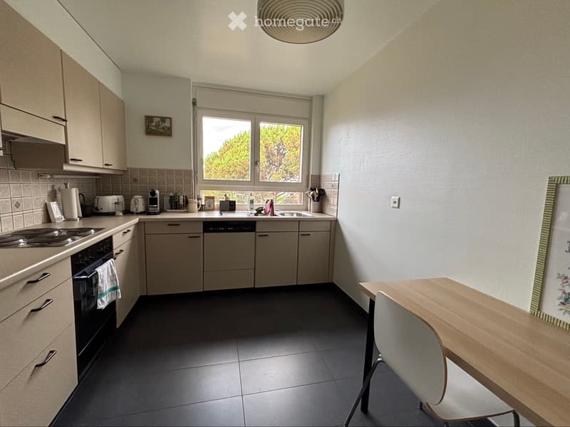 À louer - 3,5 pièces avec balcon et vue lac (5)