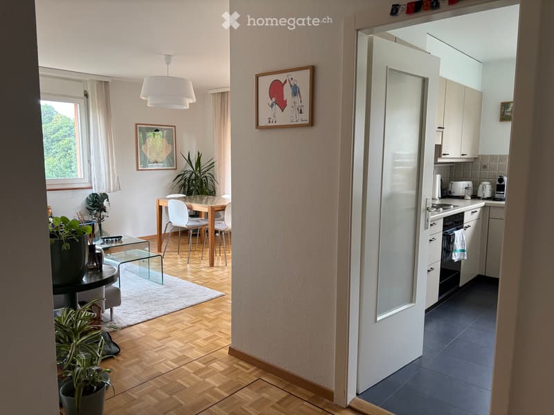 À louer - 3,5 pièces avec balcon et vue lac (2)