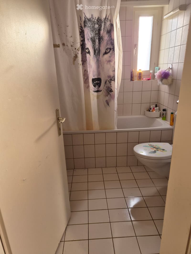 Appartement 4.5 pces (1)