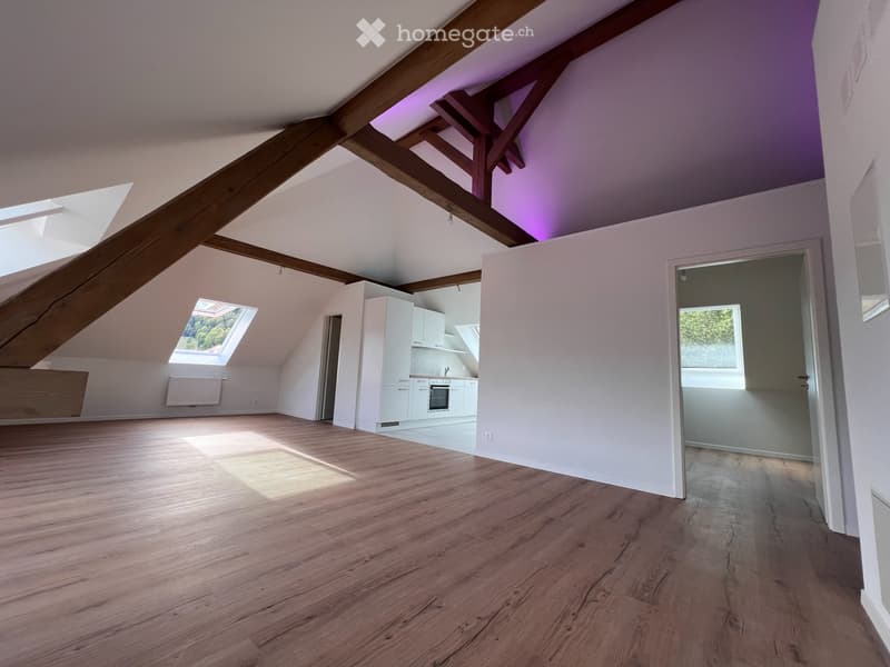 Magnifique appartement neuf - style loft - de 2,5 pièces (3)