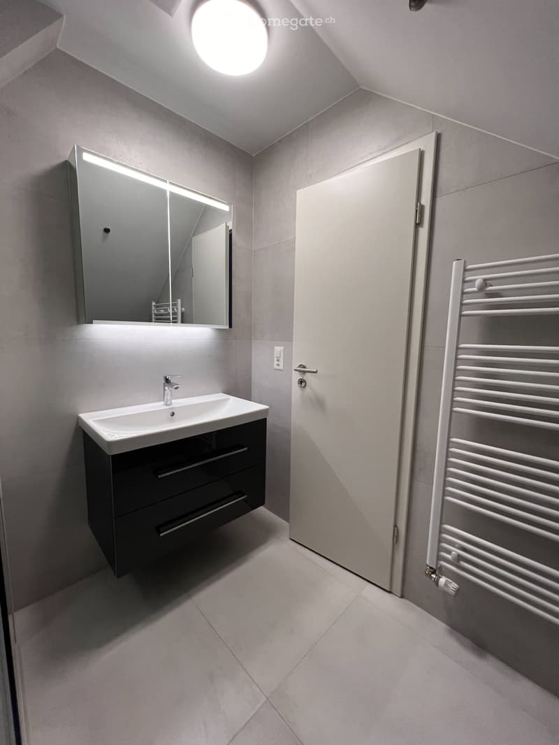 Magnifique appartement neuf - style loft - de 2,5 pièces (9)