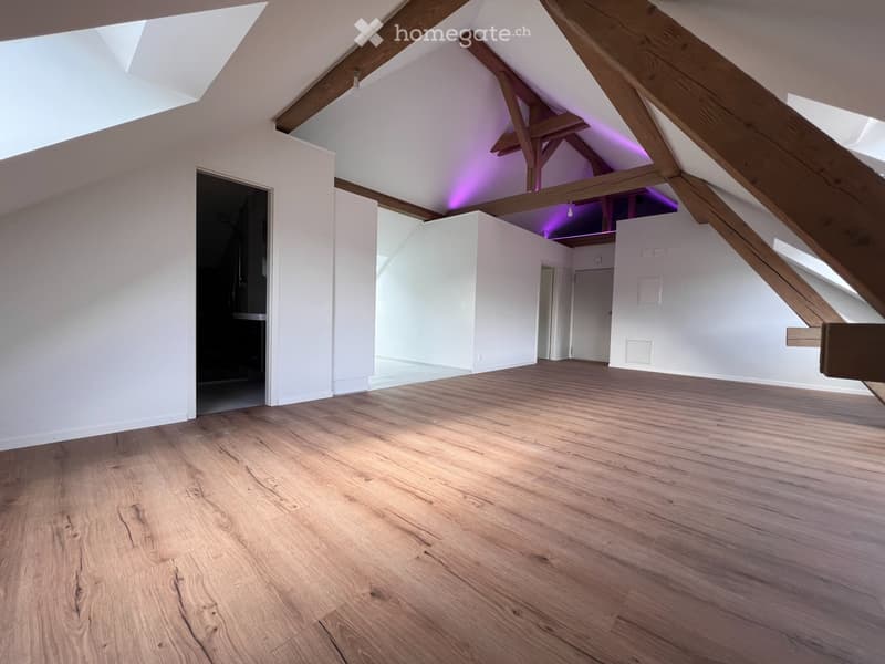Magnifique appartement neuf - style loft - de 2,5 pièces (1)