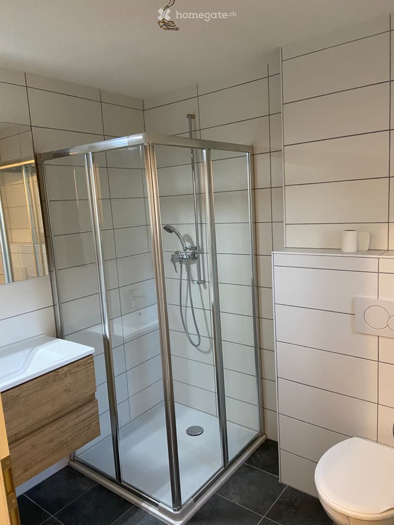 A louer appartement 3.5 pièces Canton de Berne (2)