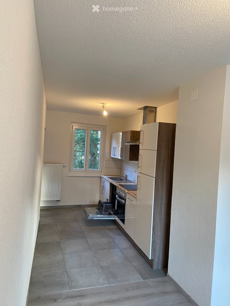 A louer appartement 3.5 pièces Canton de Berne (1)