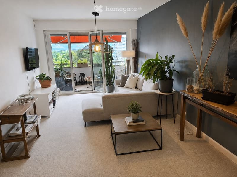 APPARTEMENT 4 PIÈCES À LOUER VERSOIX (3)