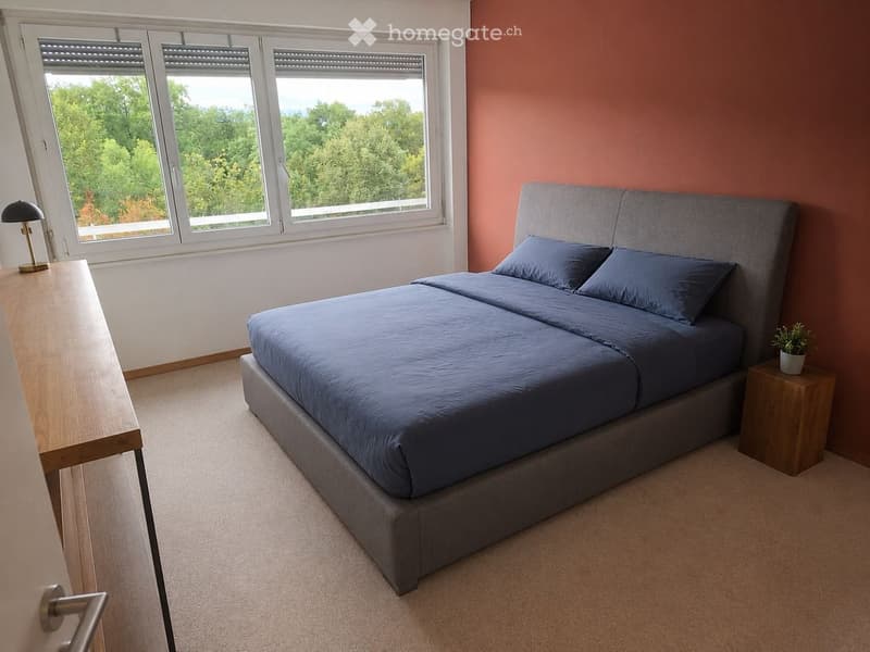 APPARTEMENT 4 PIÈCES À LOUER VERSOIX (2)