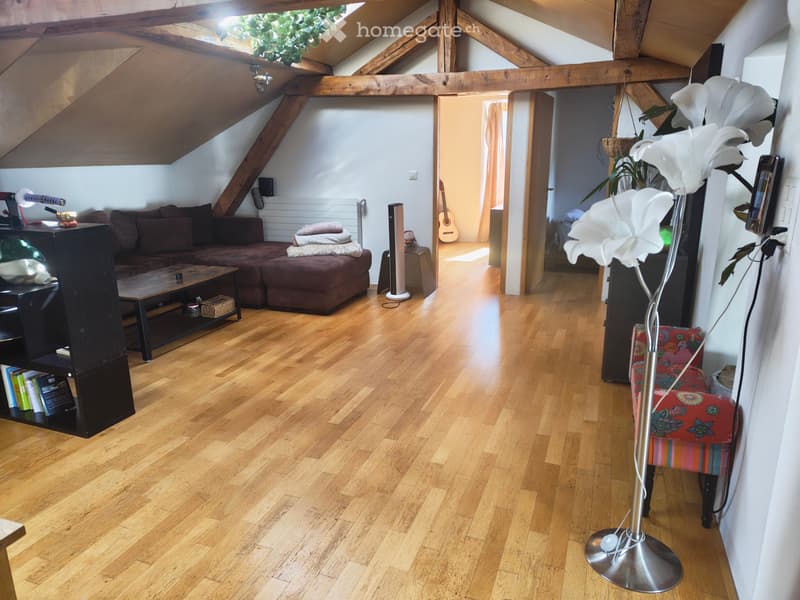 Appartement chaleureux et ensoleillé ! (5)