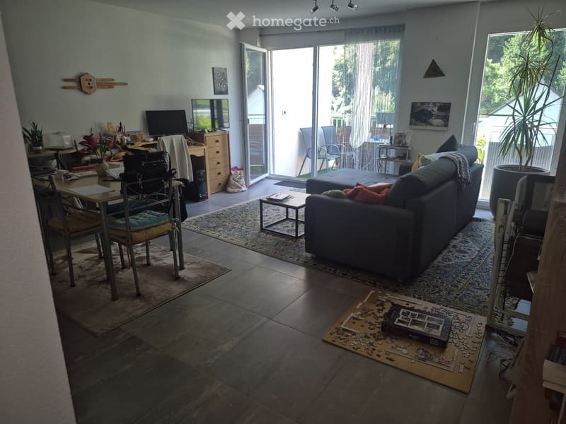 Appartement lumineux pour le 1.12.2026 (3)