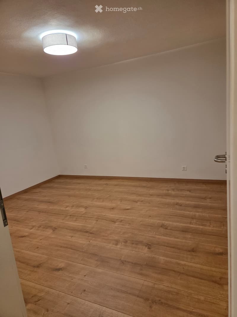 Charmant appartement 2,5 pièces,  avec pelouse (3)