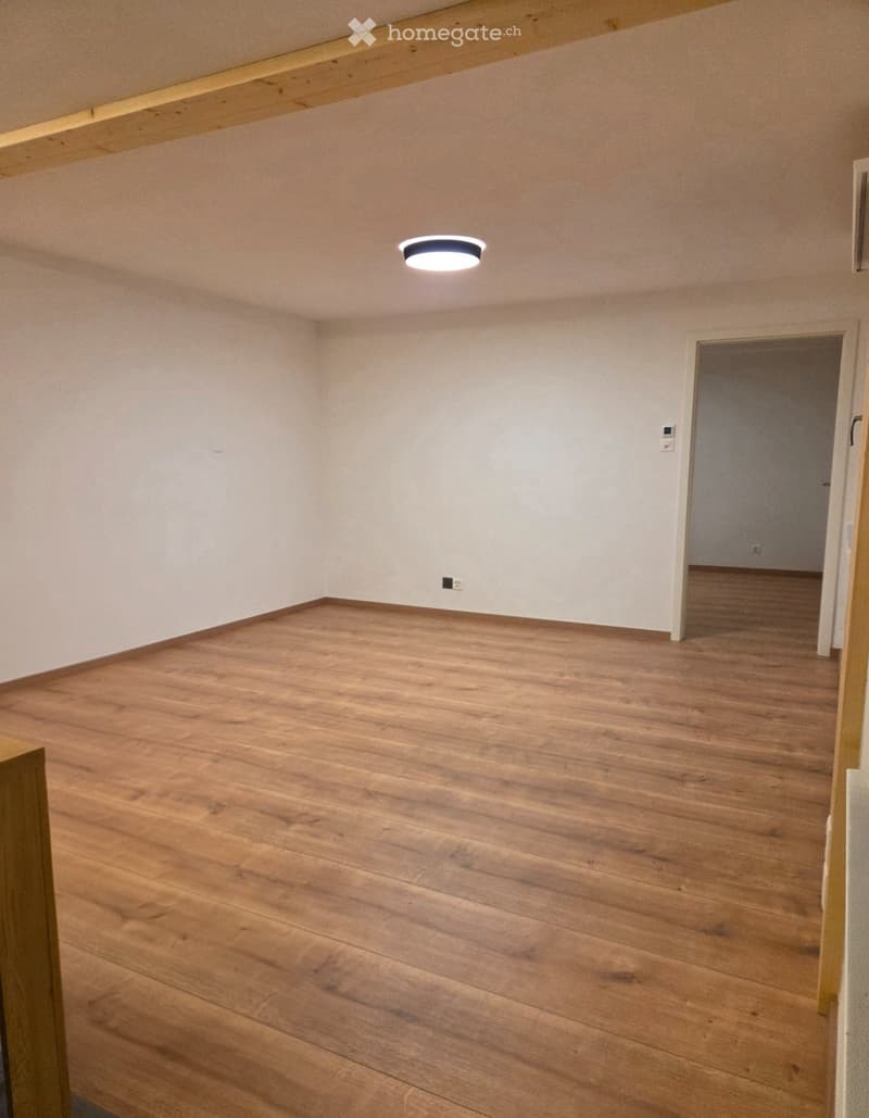 Charmant appartement 2,5 pièces,  avec pelouse (2)