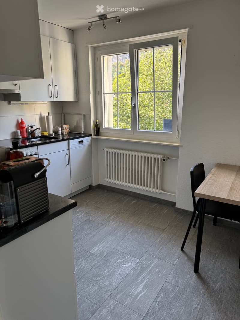 Appartement 3 pièces (5)