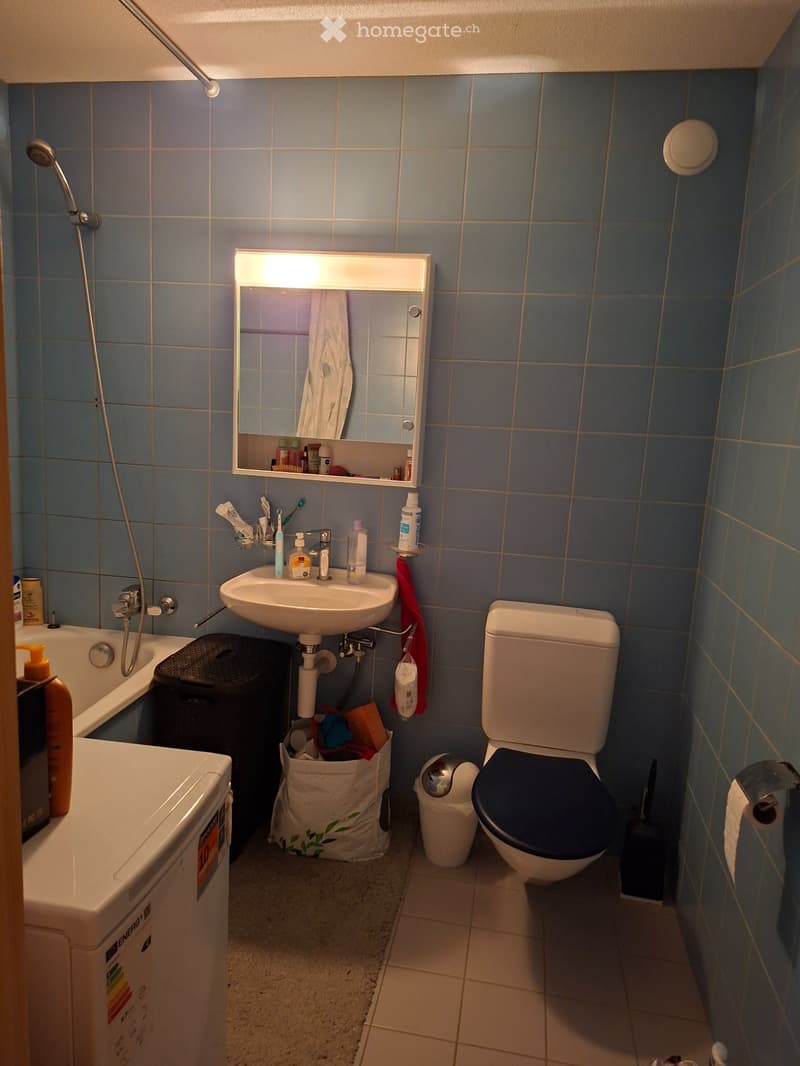 Urgent, magnifique 3pièces spacieux pour 1er octobre (5)