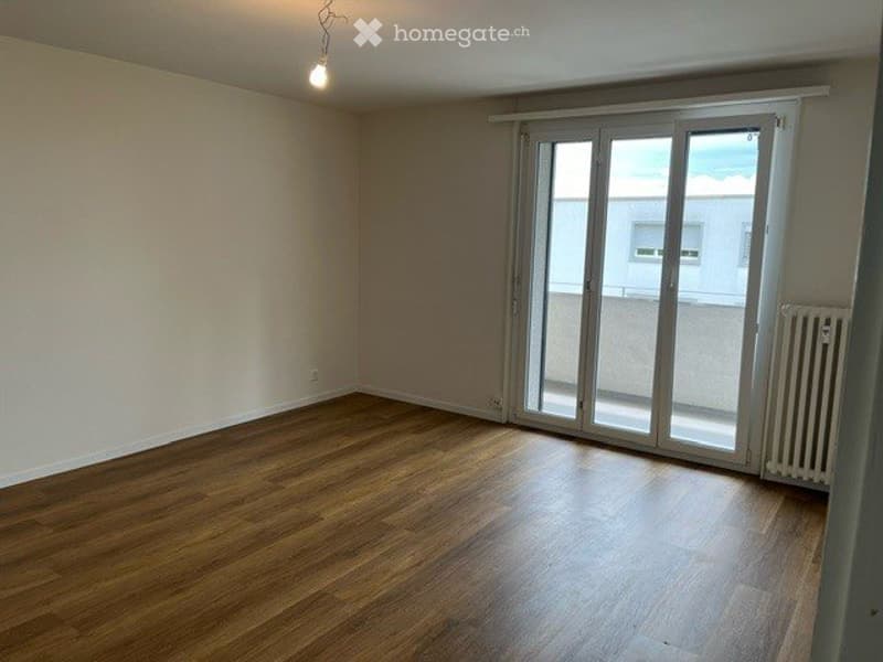 Appartement 2 pièces à reprendre  disponible rapidement (2)