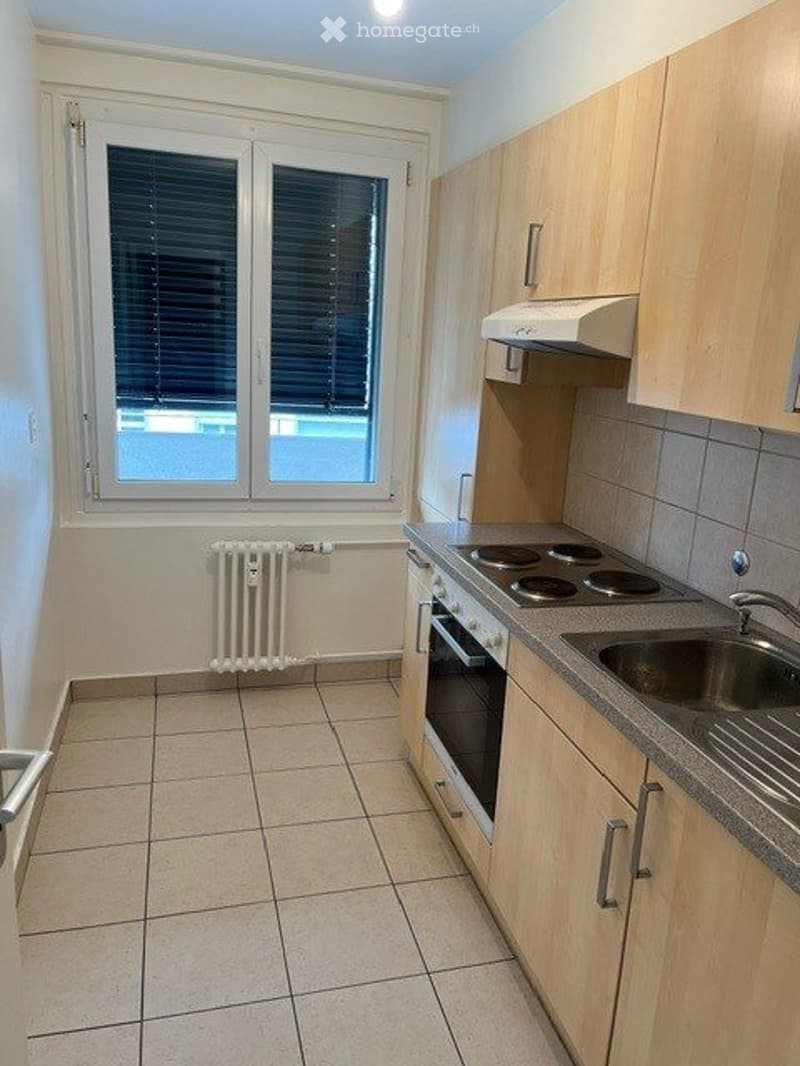 Appartement 2 pièces à reprendre  disponible rapidement (4)