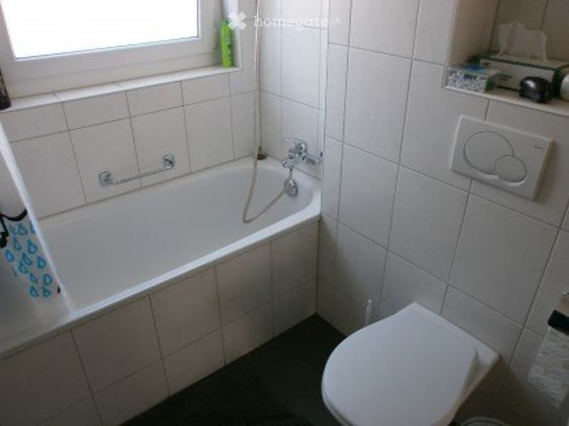 Vermietung sonnige 4-Zimmer-Wohnung (2)