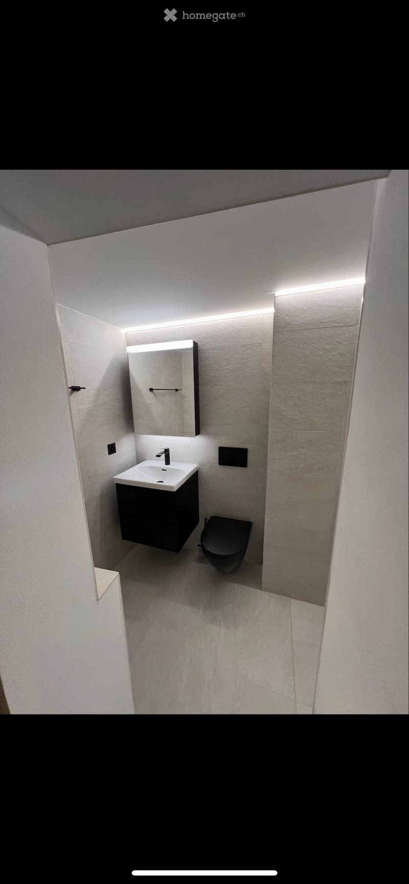 À louer magnifique appartement 4.5 pièces en duplex (3)