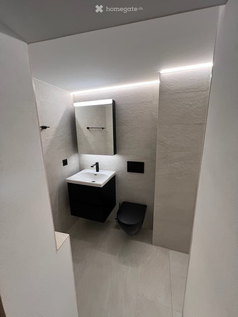 À louer magnifique appartement 4.5 pièces en duplex (4)